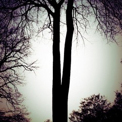 Come back to reality - Studio Version - Muriel C