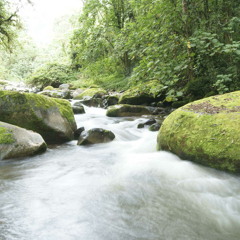 Soothing sound of water flowing - (Free Download)