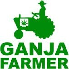 PAULY P - GANJA FARMER sample