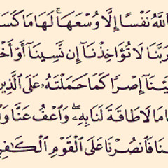 مصطفى اسماعيل