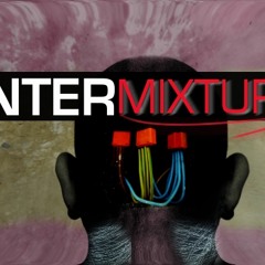 They're Coming To Take Me Away, Ha Hah (Demented Intermixture Remix)
