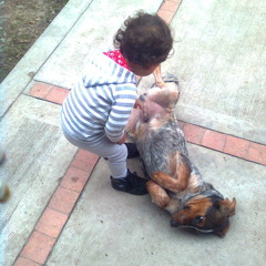 KOFLA RODRIGUEZ.. favelas y comunas FT GNZ BRASILLL