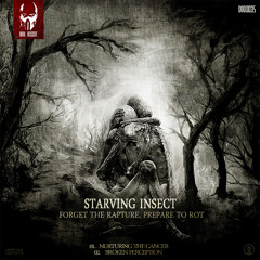 Starving Insect - Broken Perception (Preview)