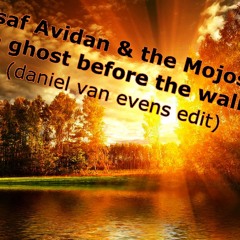 Asaf Avidan & the mojos - a ghost before the wall (daniel van evens edit)