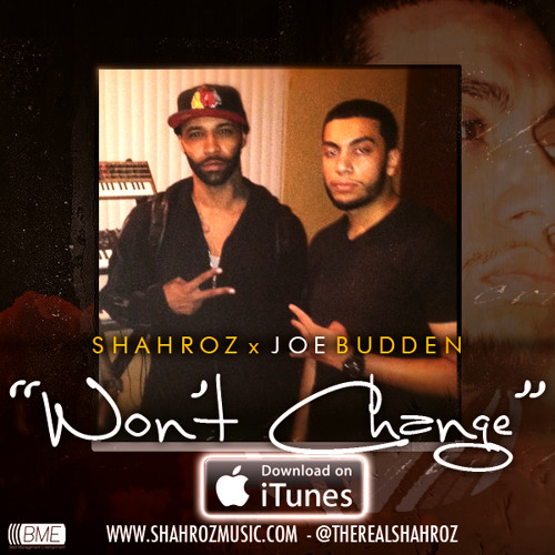 Won't Change (Feat. Joe Budden)