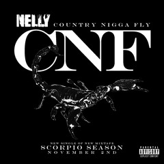 Nelly C-N-F  (Country n*gga fly)