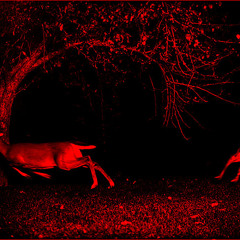 PSYCHO KILLER (Talking Heads cover)