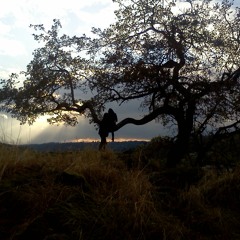 You Are My Sunshine (minor key)