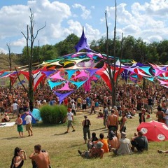 Psychedelic Progressive