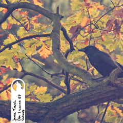 Jamie Trench - ooh I wanna [Shewolf Music]