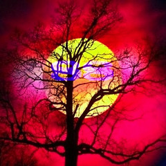 Mike Oldfield - Moonlight Shadow (Shader Electro mix)- 2007