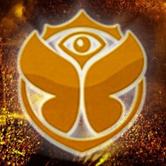Goldfox @ Tomorrowland 2012