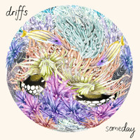 Driffs - Someday