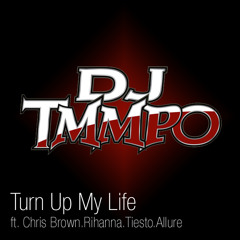 Turn Up My Life (ft. Chris Brown, Rihanna, Tiesto & Allure)