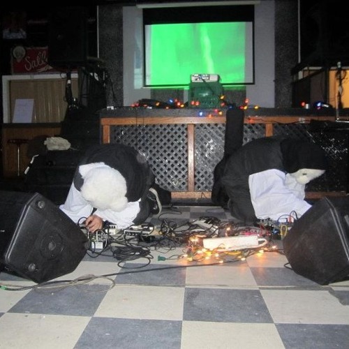 spirit bear blues #14