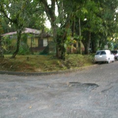 OCHELLEI
