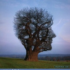 Bondhu meli de tur dukhor dukhoni haat-zubin(borokhun)