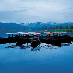Deep Shoq - Wulin Water <free dl>