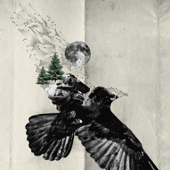 Lost in You (Veell remix)