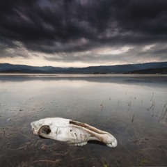 Ride or Die 2012(Freebeat)