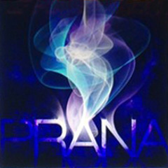 PRANA-TAG
