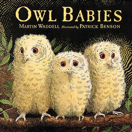 Owl Babies