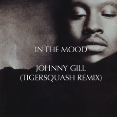 Johnny Gill - In the Mood (TIGERSQUASH Remix)