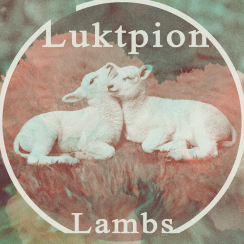 Lambs