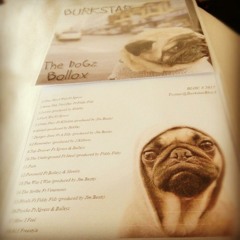 Burkstar ft Fidz - Rivals (Jim Beatz) #THEDOGSBOLLOX