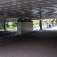 AMS 362 Vondel Park Underpass 1
