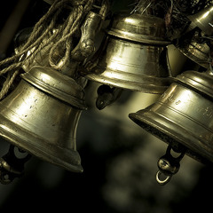 bhakti sagar