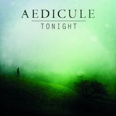Aedicule - Tonight (Original mix) // ALBUM OUT NOW Follow Link In Track Description