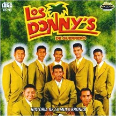 Los Donny's de Guerrero En Vivo - Zotico Ruiz , Rufino Salinas