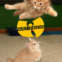 RZA - Built For This (Mochipet's The Pet With The Iron Paw Remix) [Like? Repost!]