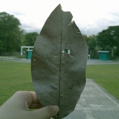 hello, badgirl. [instrumental]