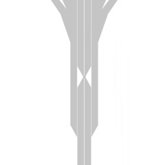 Perverse & True Tiger mash up - Cluster vs Big love(vocals)