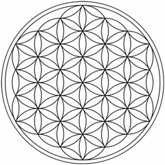 Moon Joy - human unkind remake