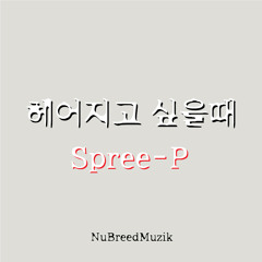 헤어지고 싶을 때 _ Spree-P