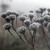 Artwork for (New Edit Oct '12) The Flurries (Chris & Naomi) - I Don't Feel it Anymore - Cover