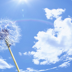 Love is the life of a flower