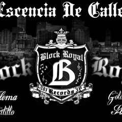 401 3P ESENCIA DE CALLE (BLOCK ROYAL  GORDO MAGIC-MR. DILEMA - TAINO GATILLO- SR. SUBLIME)