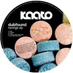 Dubfound "Ravings" - Björn Wilke Remix (Preview)