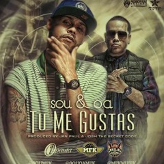 Sou y O.A - Tu Me Gustas