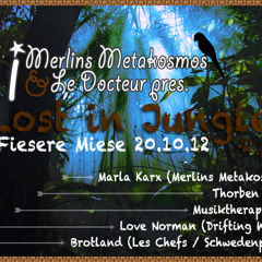 Livemitschnitt Merlins Metakosmos & Le Docteur pres. Lost in Jungle @Fiesere Miese -