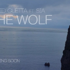 She Wolf-David Guetta Ft. Sia(Jesus Perez Personal Intro Rmx)