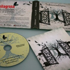 El Burro - La Estupid Band Nomedites # 8 Infrarrealismo (Texto Roberto Bolaño Ávalos)