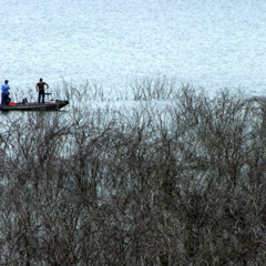 nopxl8890a ft. beto guapoflaco