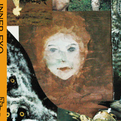 Blue House, Gray House, Yellow House, Red House