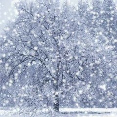 27.10.2012 First Snow