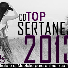 01 - Top Sertanejo 2013